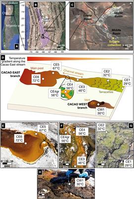 Lipid Profiles From Fresh Biofilms Along a Temperature Gradient on a Hydrothermal Stream at El Tatio (Chilean Andes), as a Proxy for the Interpretation of Past and Present Biomarkers Beyond Earth